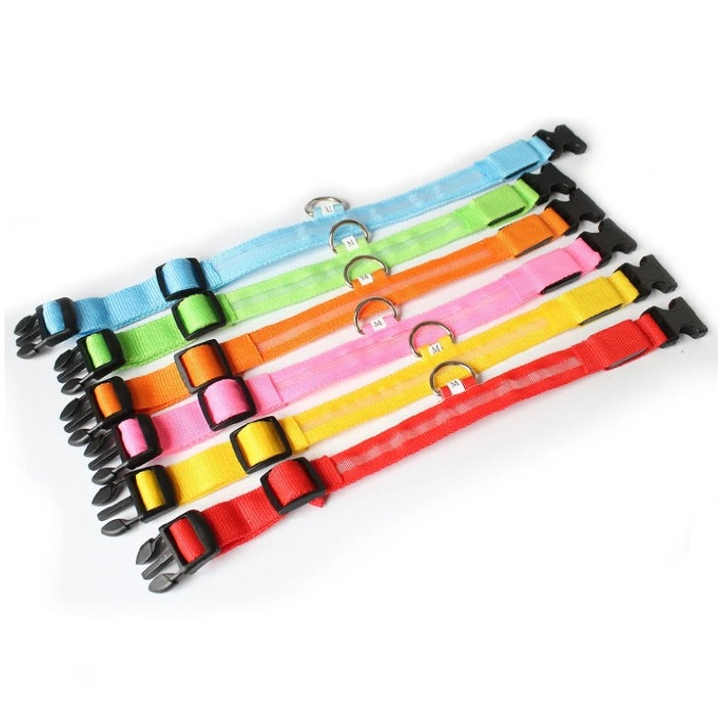 LED Light-Up Dog Collar