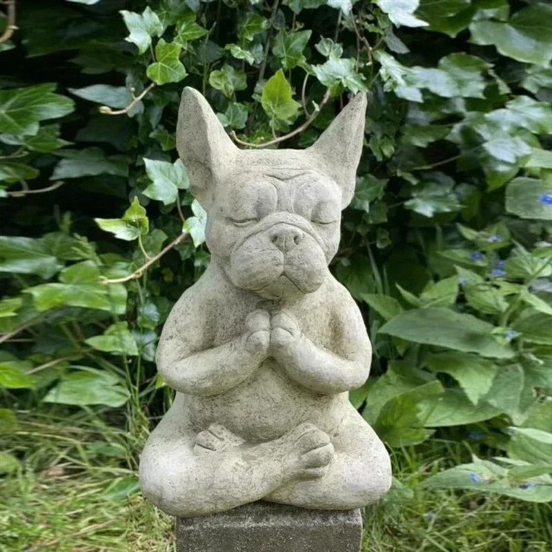 Yoga Pose French Bulldog