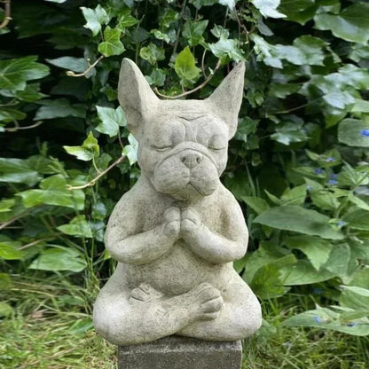 Yoga Pose French Bulldog