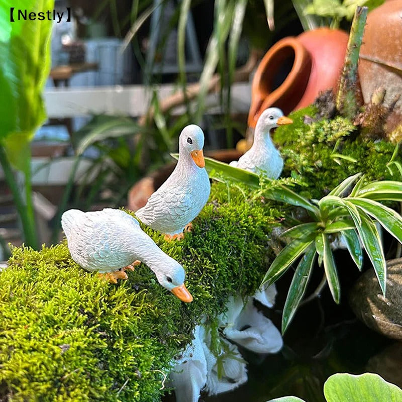 3-Piece Duck Flower Pot Set