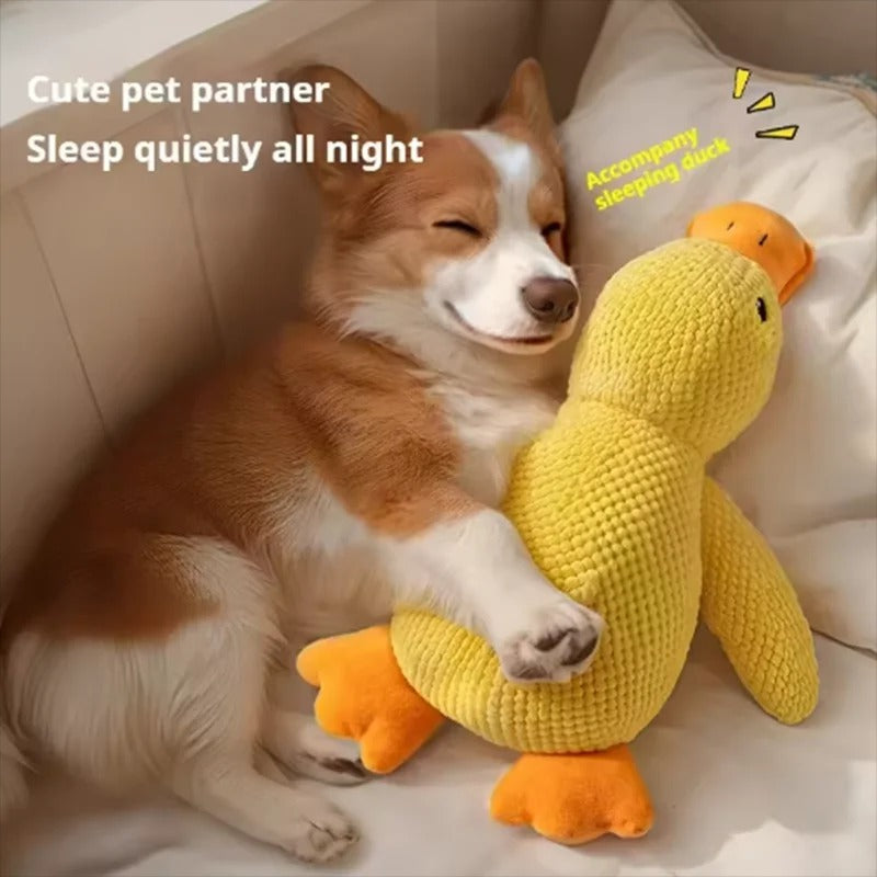 Squeaky Yellow Duck Dog Toy