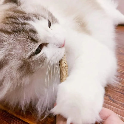 Natural Silvervine Cat Chew Sticks – 15 Pack