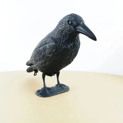 Realistic Crow Bird