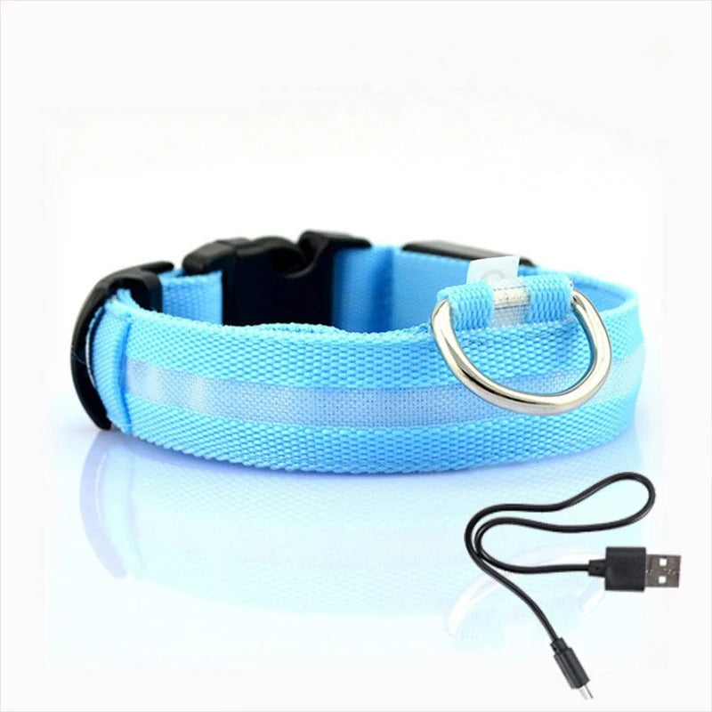 LED Light-Up Dog Collar