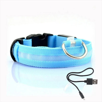 LED Light-Up Dog Collar