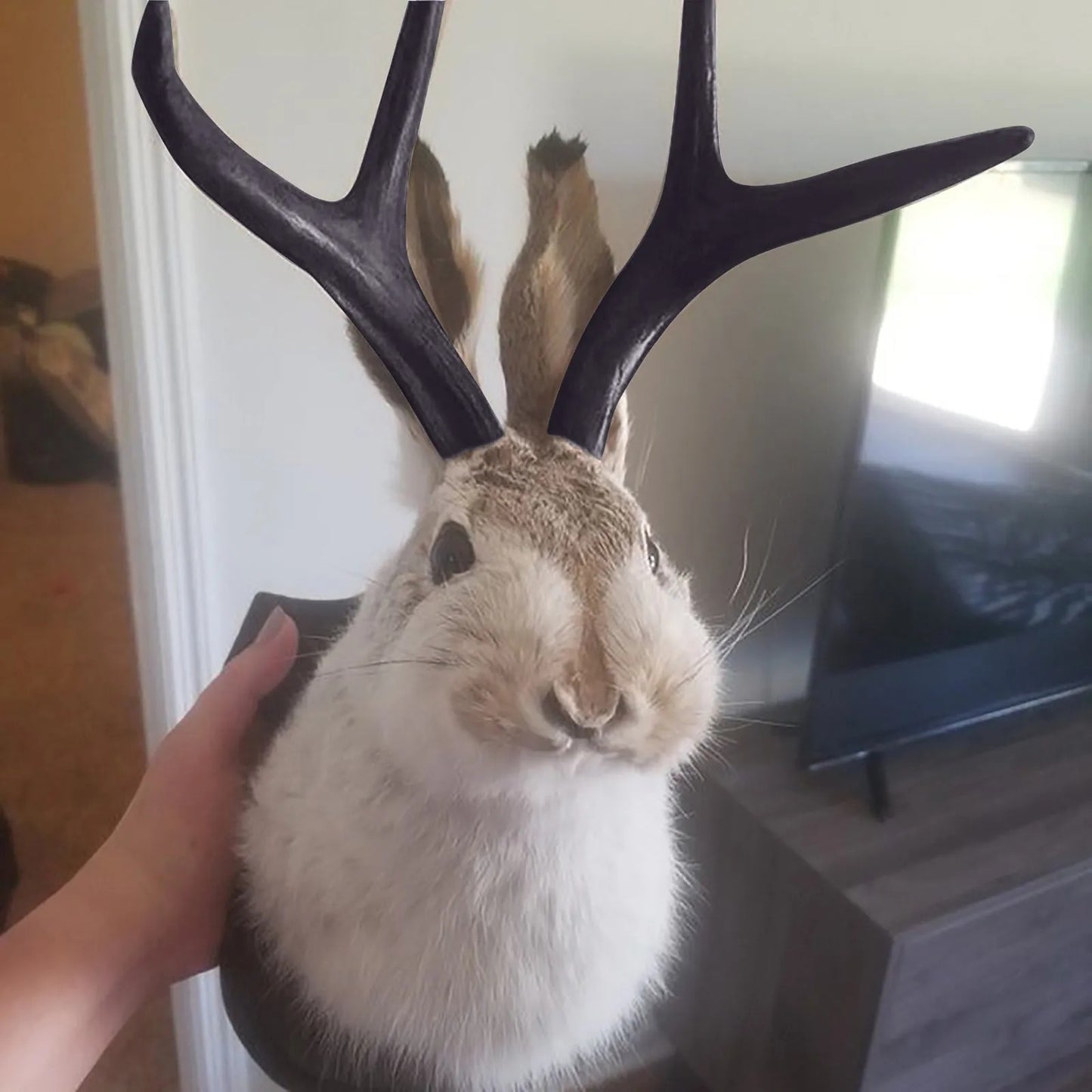Rabbit with Antlers Wall Sculpture