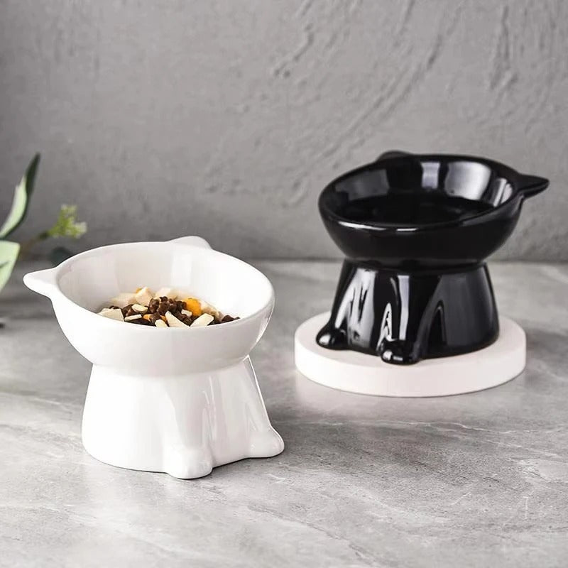 Elevated Cat Bowl – Raised Tilted Feeder