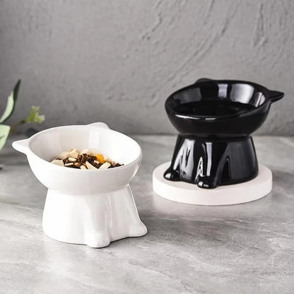 Elevated Cat Bowl – Raised Tilted Feeder