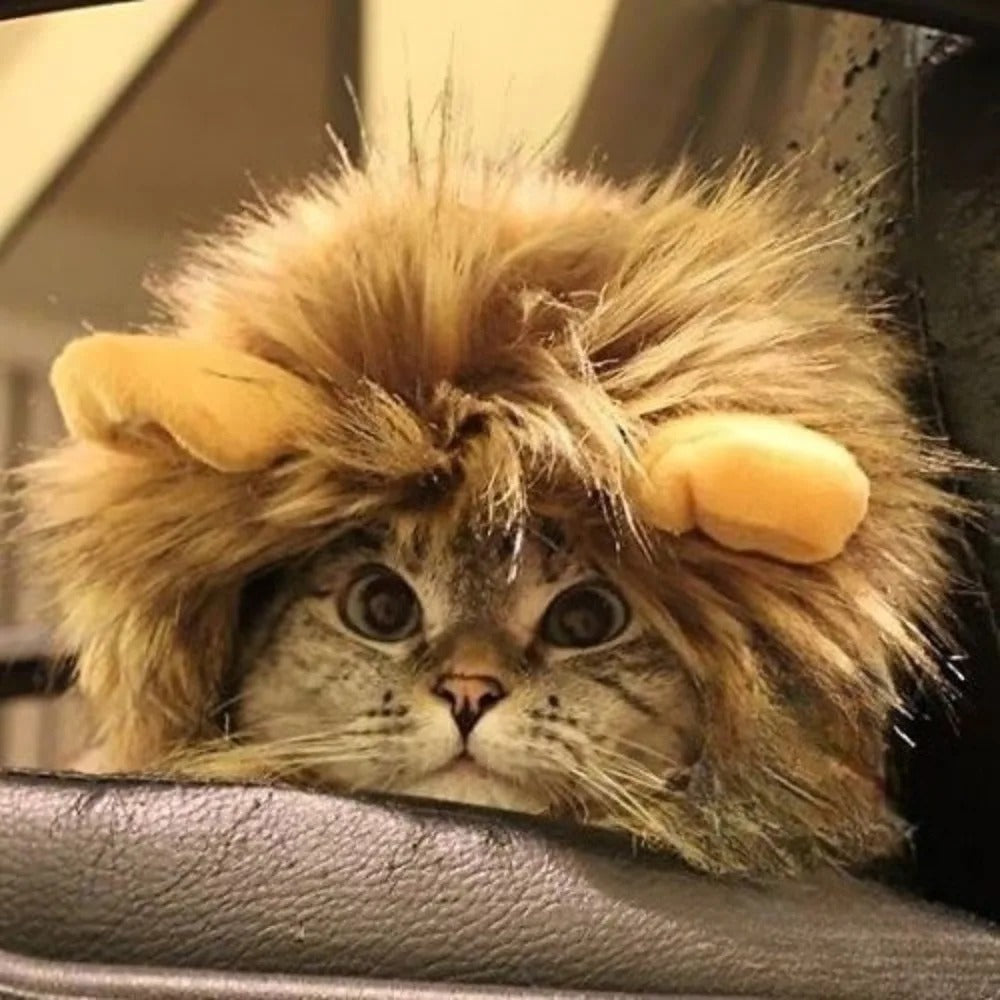 Lion Mane Pet Costume