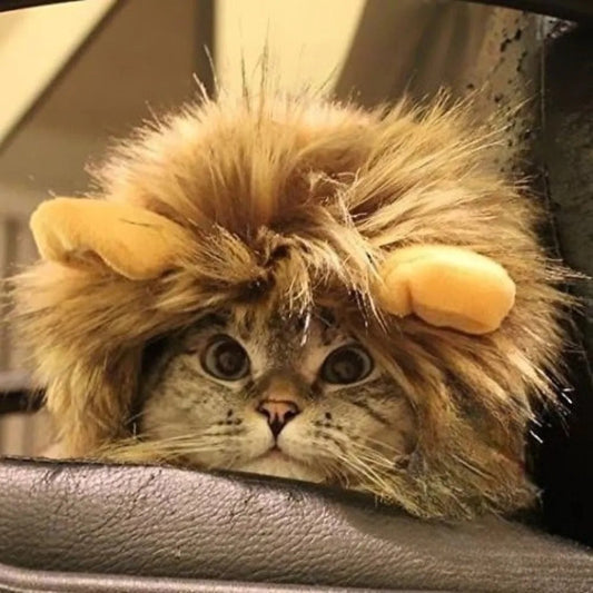 Lion Mane Pet Costume