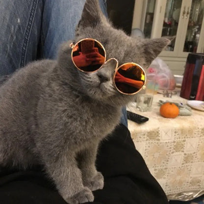 Vintage Round Pet Sunglasses