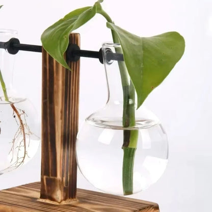 Glass Vase with Wooden Stand - 3 Styles Included