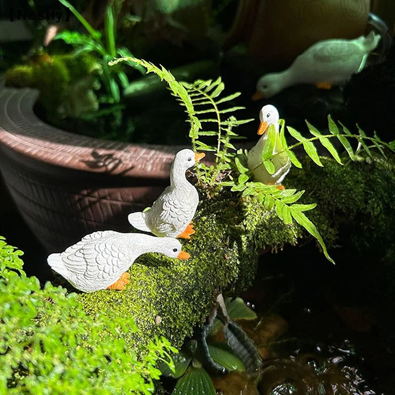 3-Piece Duck Flower Pot Set