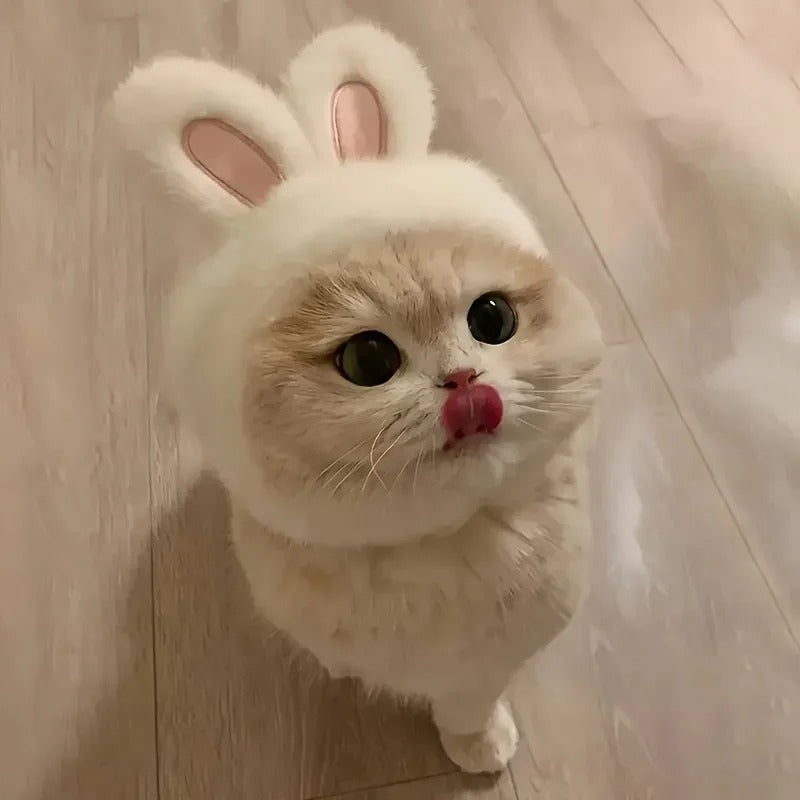 Bunny Ears Pet Hat