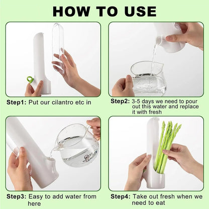 Herb Saver Storage Container – Fresh Herb Keeper for Refrigerator