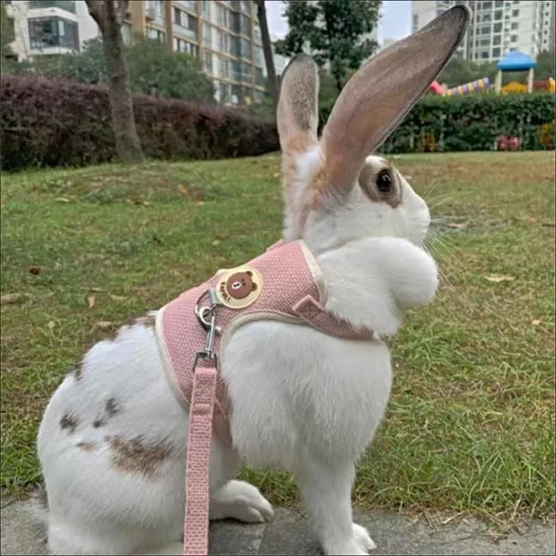Rabbit Harness & Leash Set