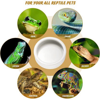 Anti-Escape Reptile Feeding Bowl