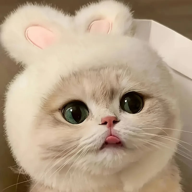 Bunny Ears Pet Hat