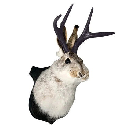 Rabbit with Antlers Wall Sculpture