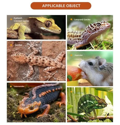 Automatic Reptile Water Dispenser
