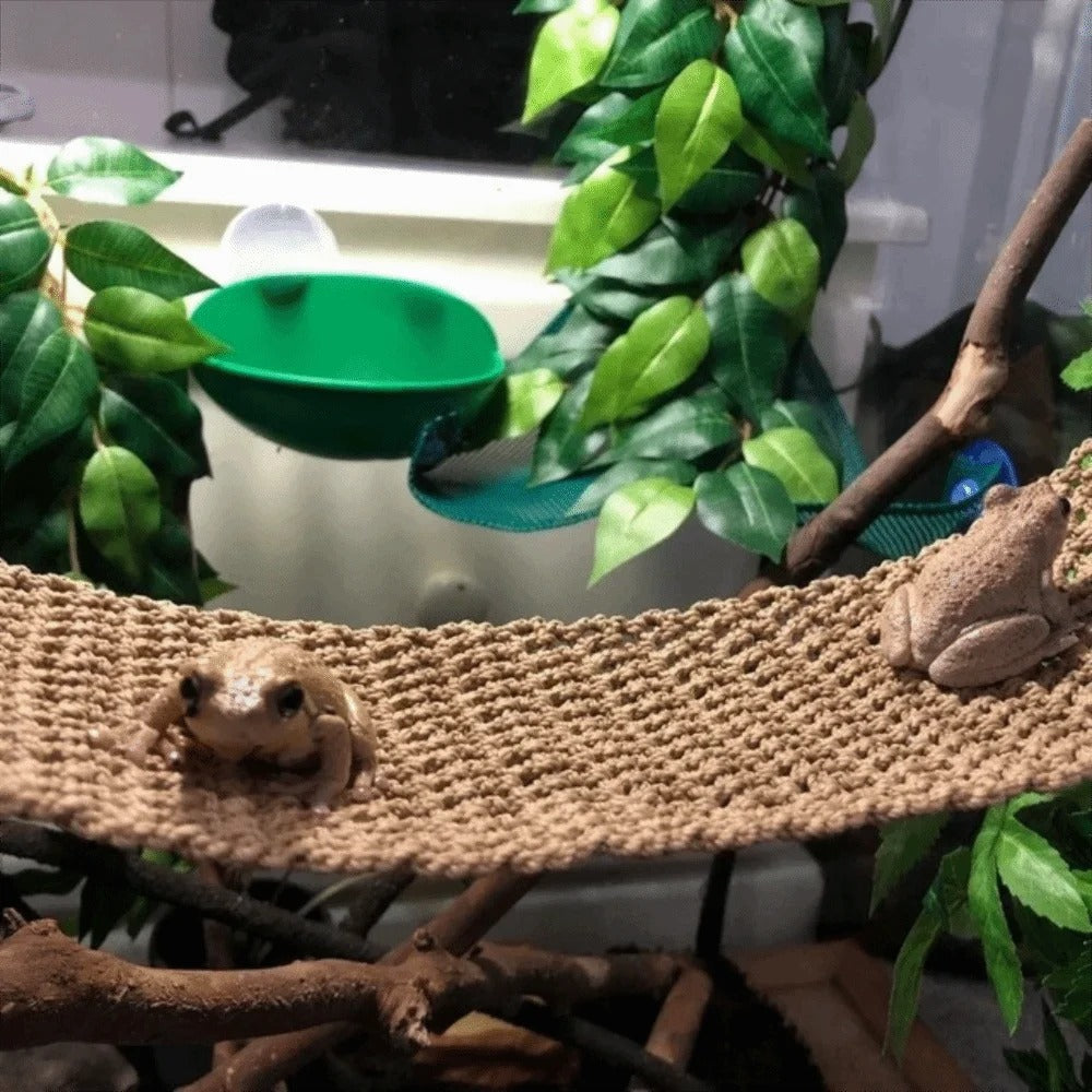 Reptile Climbing Hammock