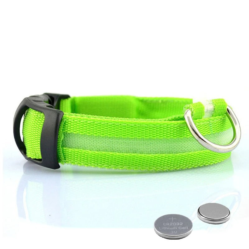 LED Light-Up Dog Collar