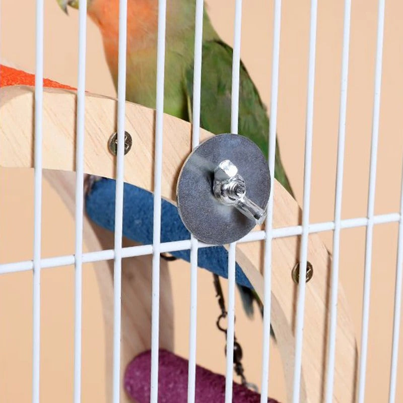 Bird Climbing Ladder