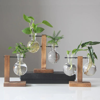 Glass Vase with Wooden Stand - 3 Styles Included