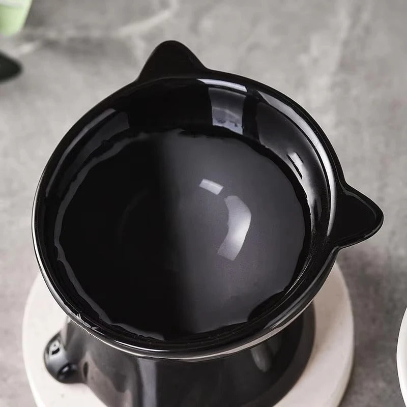 Elevated Cat Bowl – Raised Tilted Feeder