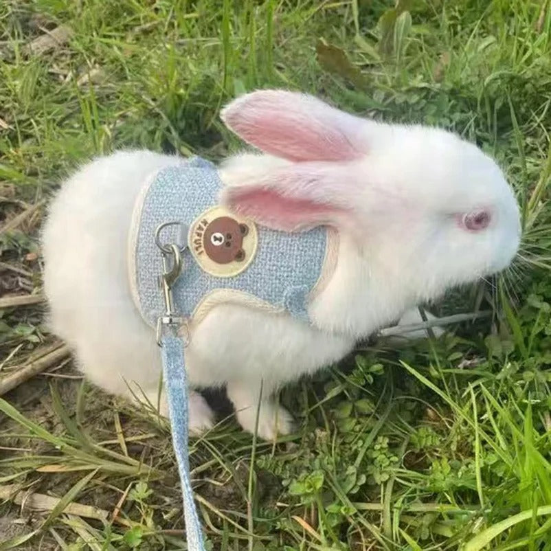 Rabbit Harness & Leash Set