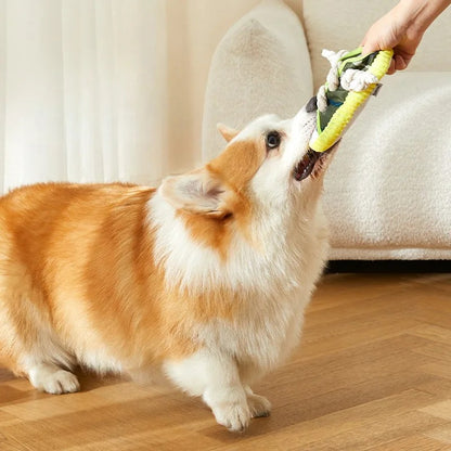 Sneaker Rope Chew Toy
