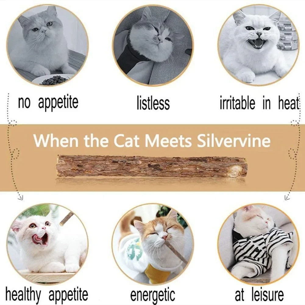 Natural Silvervine Cat Chew Sticks – 15 Pack