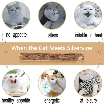 Natural Silvervine Cat Chew Sticks – 15 Pack