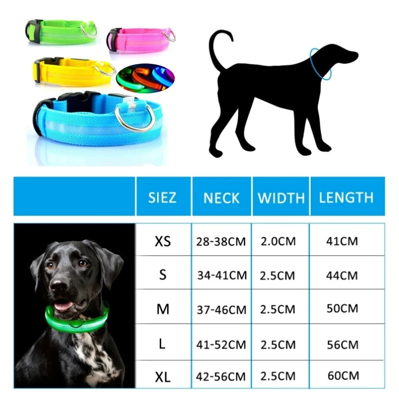 LED Light-Up Dog Collar