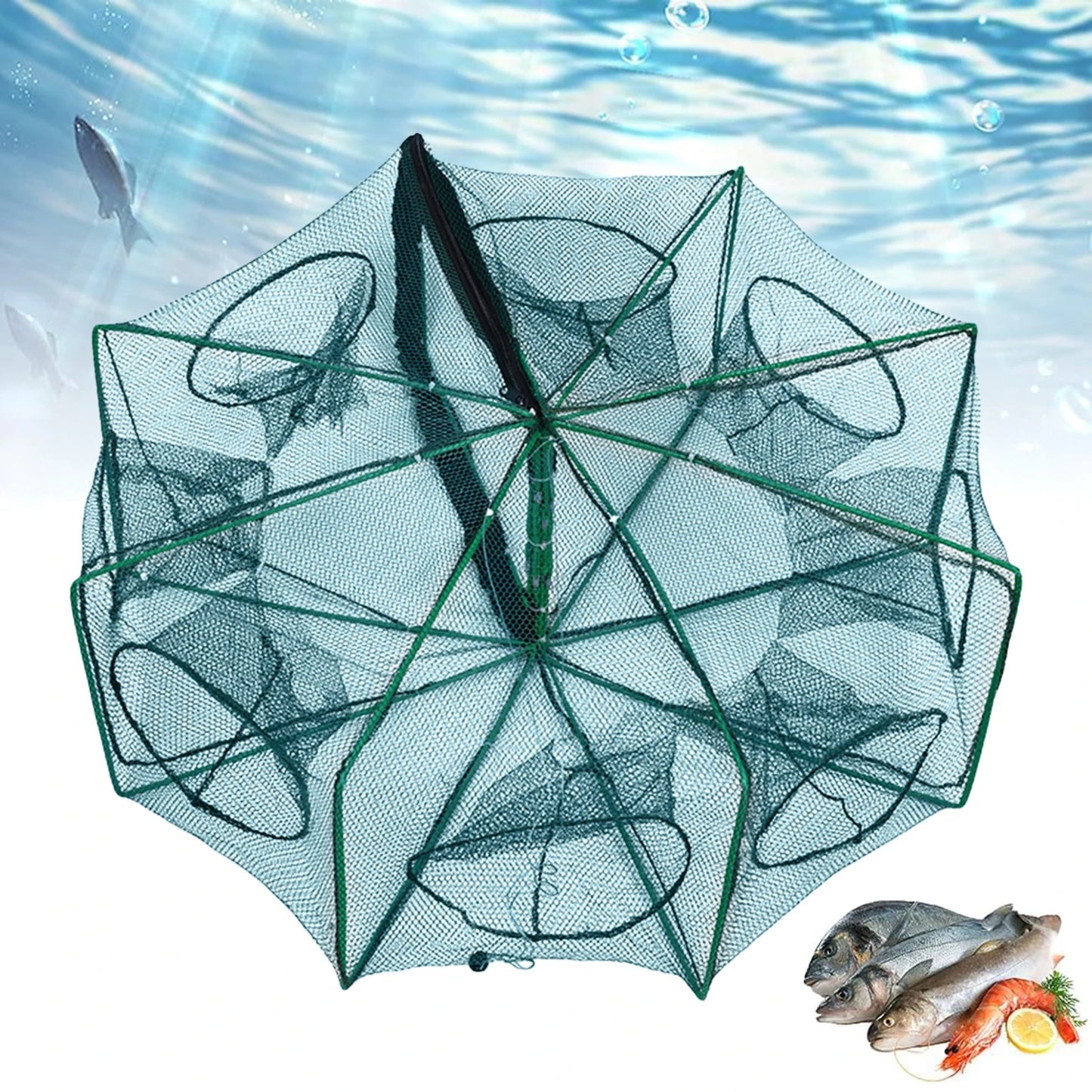 Collapsible Fishing Trap