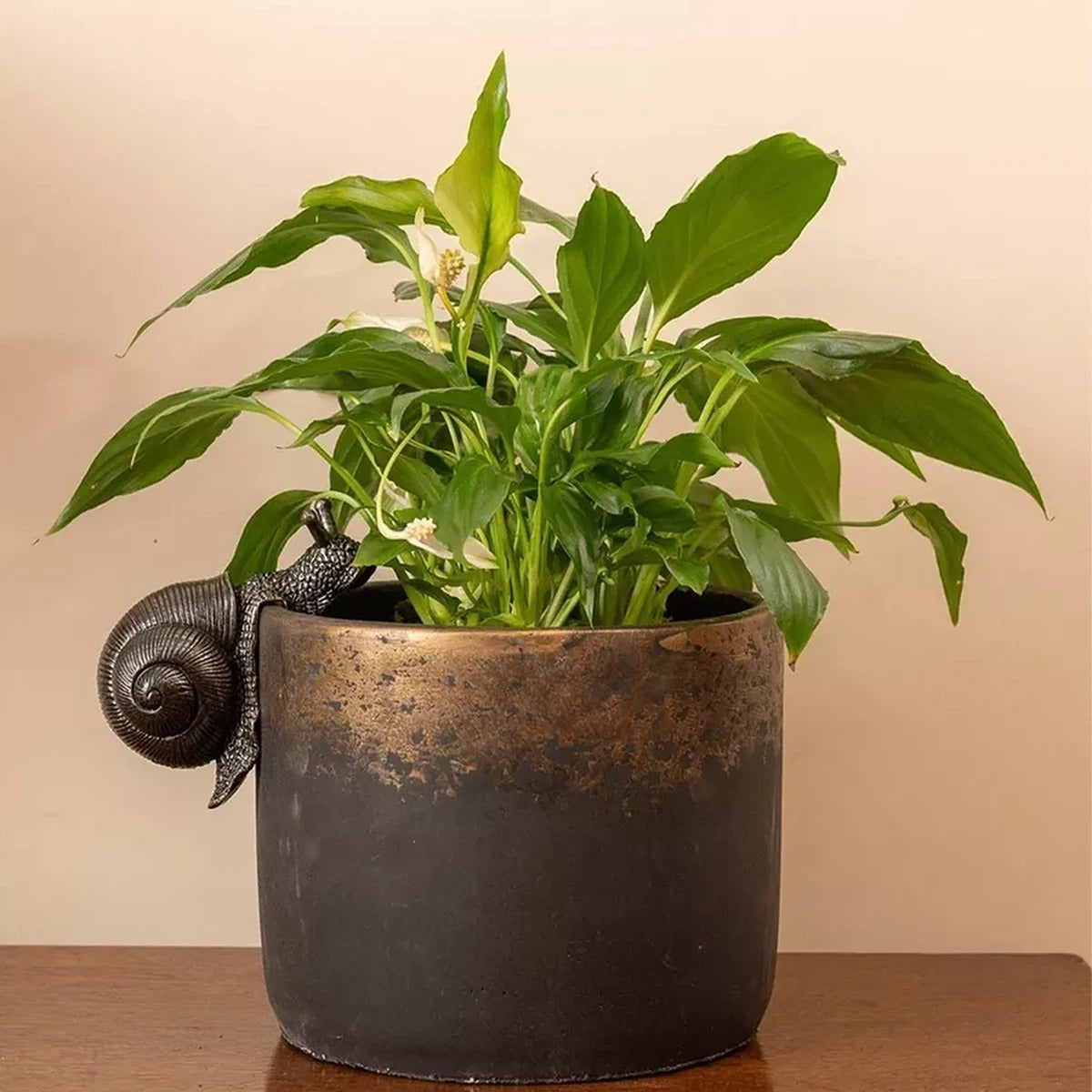 Hanging Snail Planter Ornament