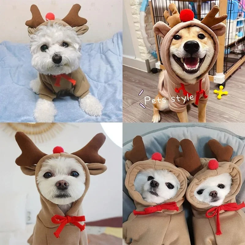 Reindeer Dog Costume