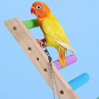 Bird Climbing Ladder