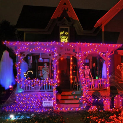 Purple & Orange LED Halloween Lights