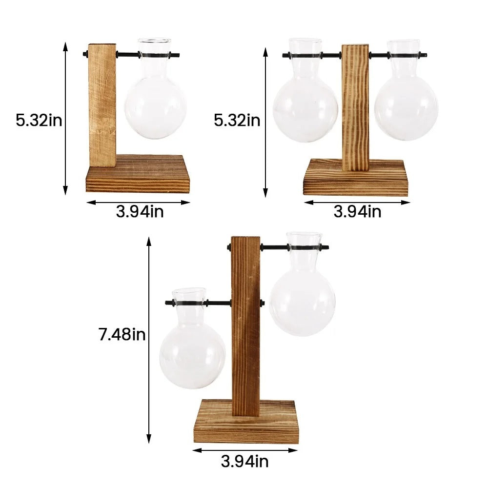 Glass Vase with Wooden Stand - 3 Styles Included