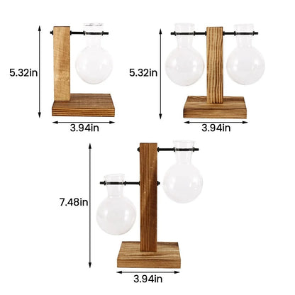 Glass Vase with Wooden Stand - 3 Styles Included