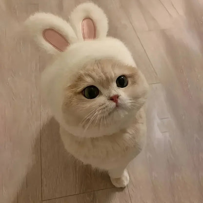 Bunny Ears Pet Hat