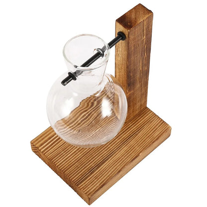 Glass Vase with Wooden Stand - 3 Styles Included