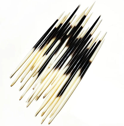 Authentic Natural Porcupine Quills - 10(PCS)