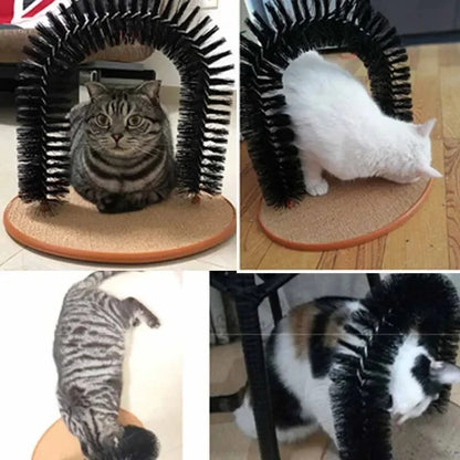 Self-Grooming Cat Arch