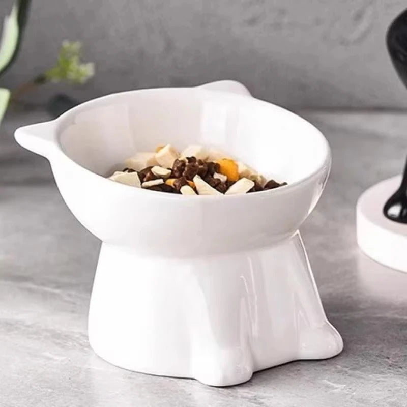 Elevated Cat Bowl – Raised Tilted Feeder
