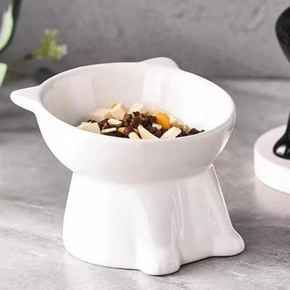 Elevated Cat Bowl – Raised Tilted Feeder