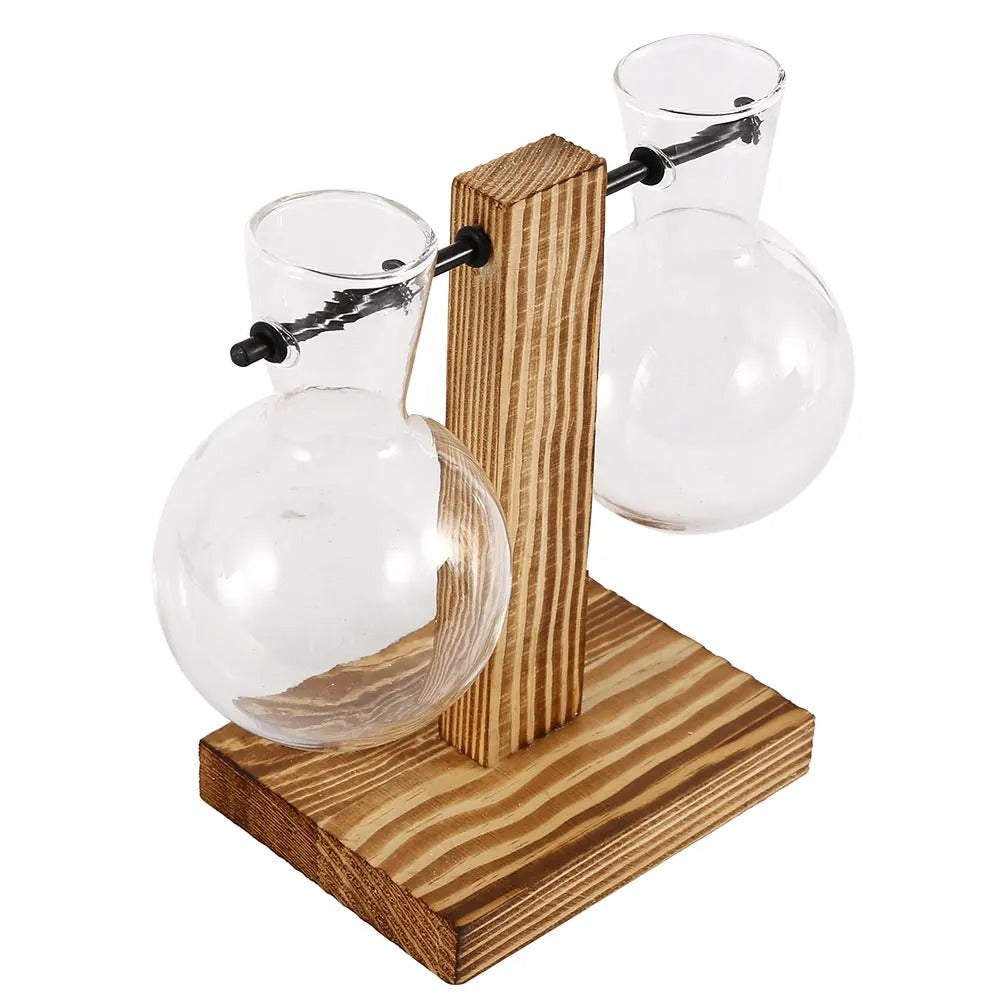 Glass Vase with Wooden Stand - 3 Styles Included