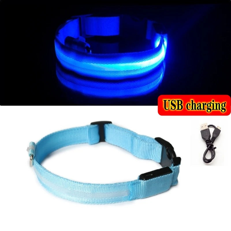 LED Light-Up Dog Collar