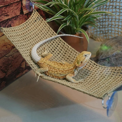 Reptile Climbing Hammock